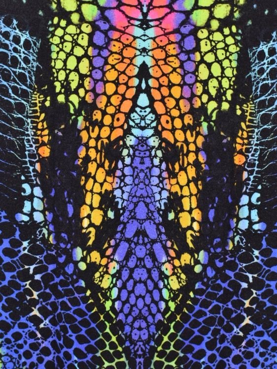 Alexander McQueen Kaleidoscope Crocodile Print Kleid, Gr.XS - Kleid - 2ND STORY