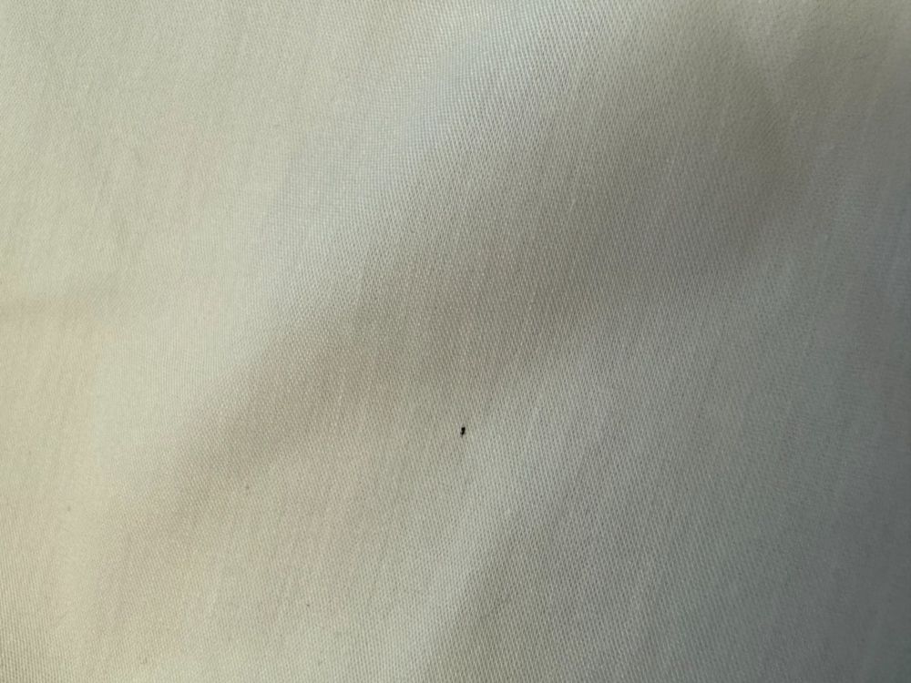 Monnalisa Bluse Gr.116 - 2ND STORY